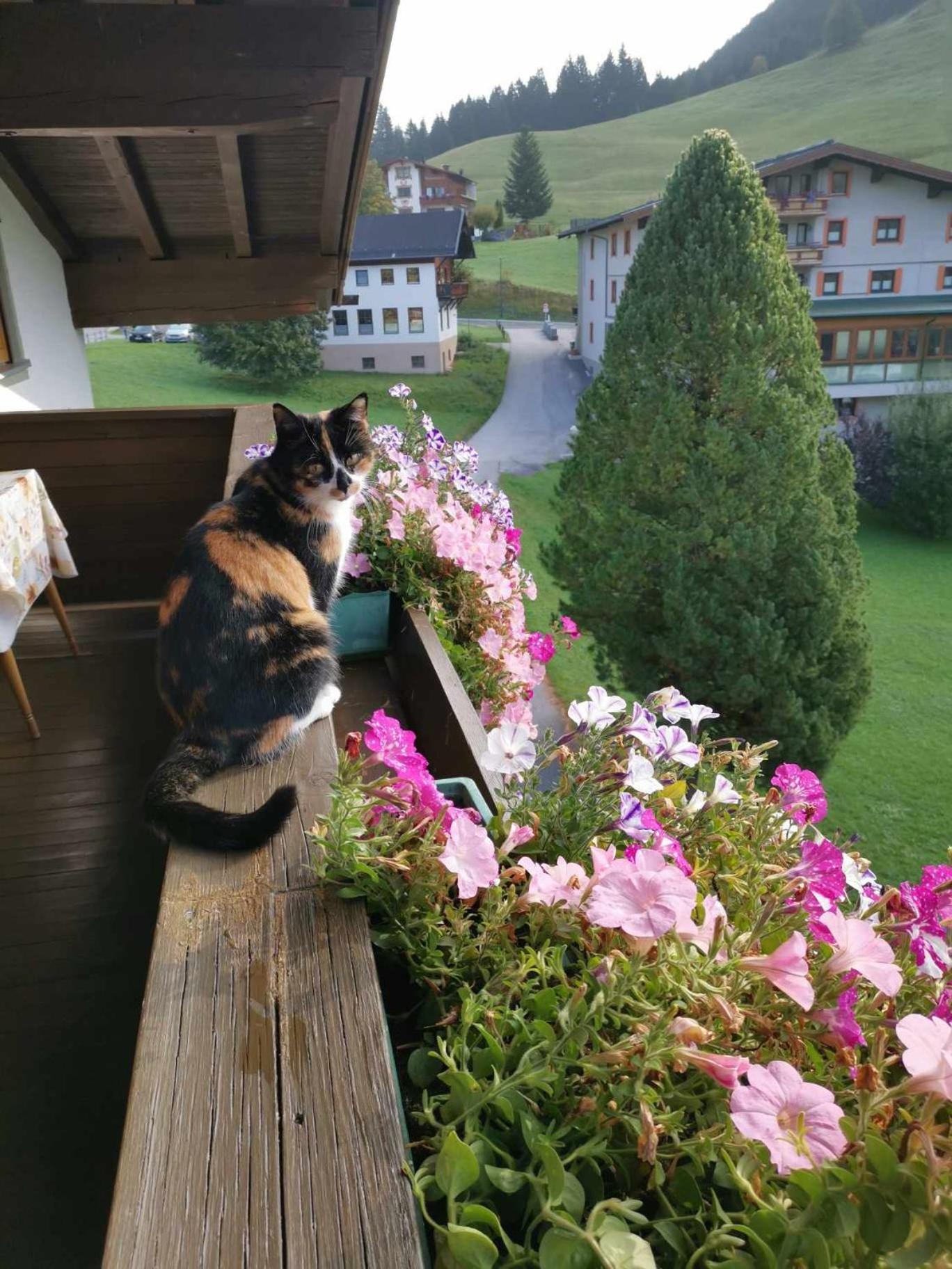 Bergland Gasthof 3*