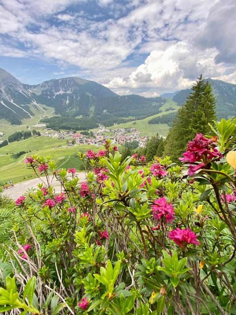 Gasthuis Gaestehaus Bergland 3*